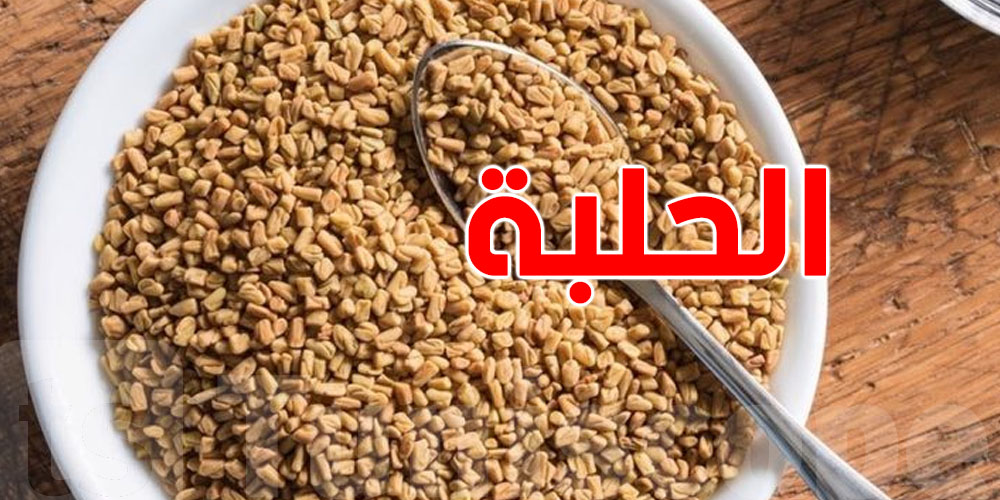 الحلبة: فوائد كبيرة.. لكن هذه الأضرار لا تتوقعها!