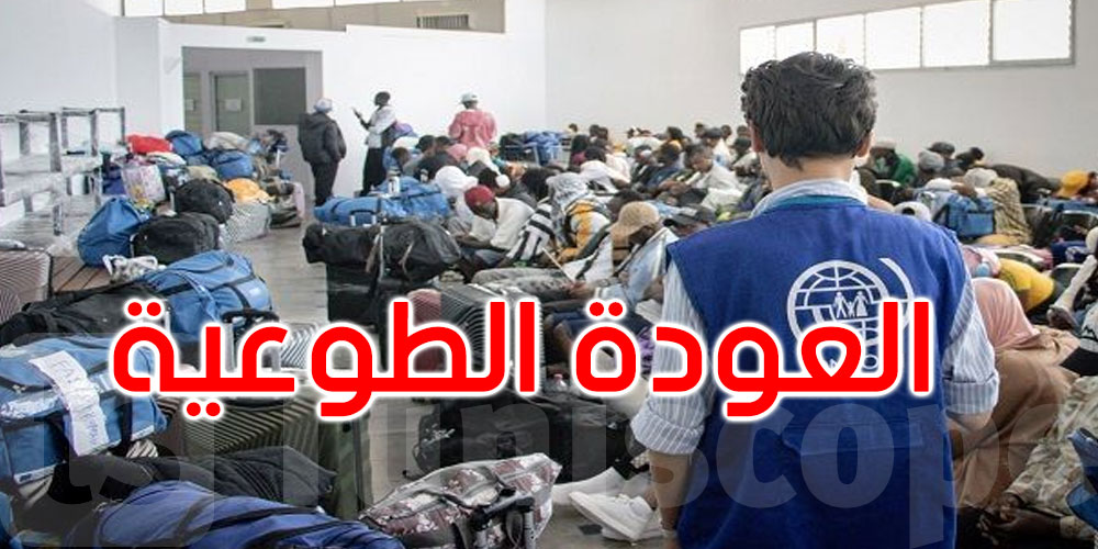 المنظمة الدولية للهجرة بتونس: 25103 مهاجرين غير نظاميين استفادوا من آلية العودة الطوعية