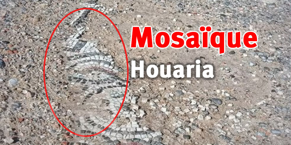 D’où vient un trésor historique découvert à Houaria ?