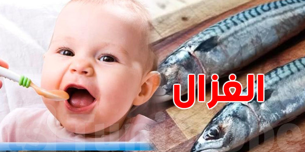 هل يمكن تقديم حوت ''الغزال'' للرضيع ابتداءً من 6 أشهر؟