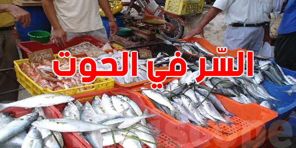 شنيا تعرف على أوميجا 3 في الحوت؟ السر اللي العلماء يكشفوه على المخ