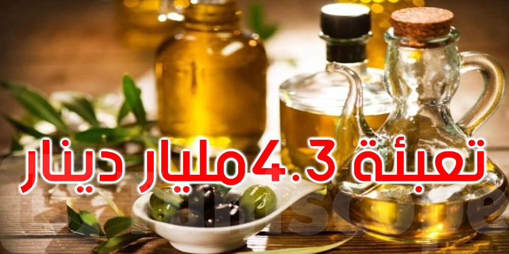 تونس حققت زيادة بنحو 80 بالمائة في عائدات زيت الزيتون 