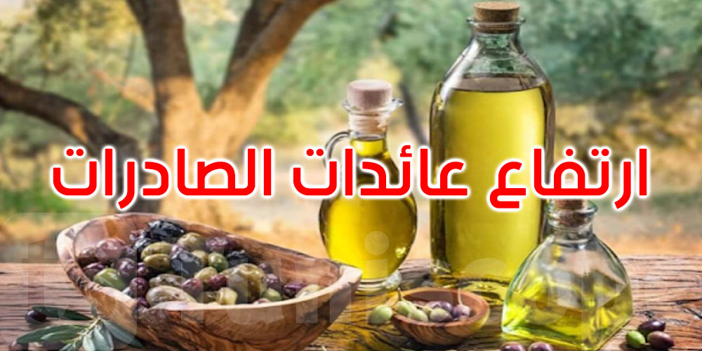 ارتفاع عائدات الصادرات من زيت الزيتون 