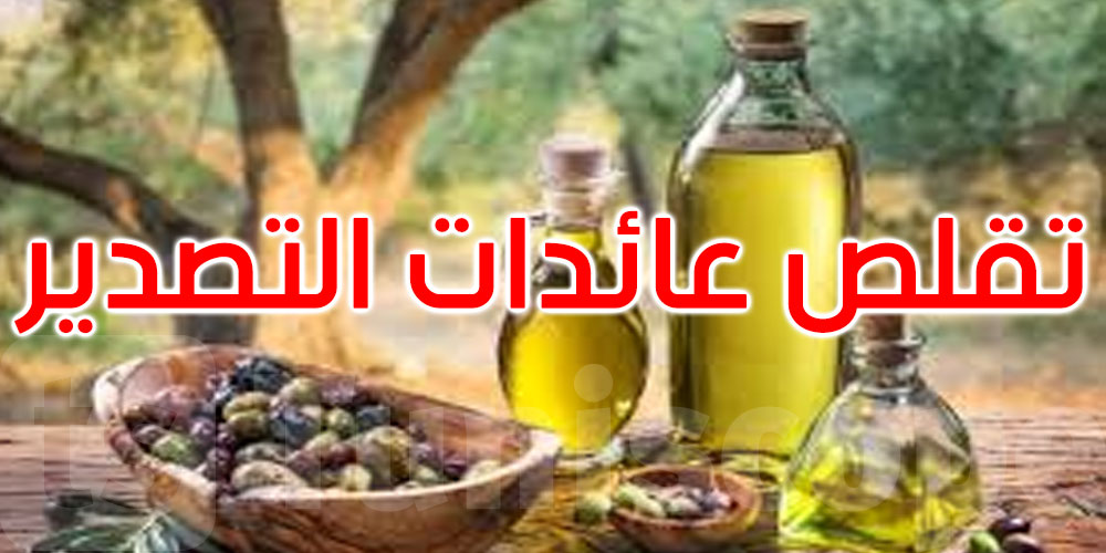 خبير يدعو إلى مراجعة سياسات قطاع زيت الزيتون والانفتاح على أسواق جديدة