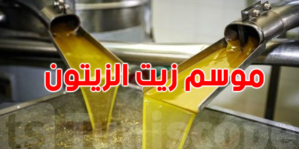 عاجل: ديوان الزيت يعلن موعد شراء زيت الزيتون من المعاصر