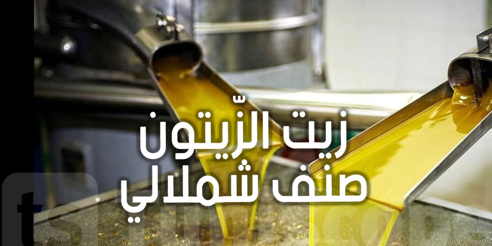 يشكل ما بين 60 و70% من الإنتاج الوطني : عندك فكرة على  زيت الزّيتون صنف شملالي؟