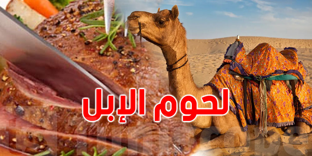 تونس: تجربة جديدة لترويج لحوم الإبل بـ30 دينارا للكلغ