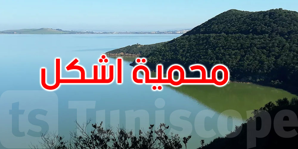 الأمطار الأخيرة تعيد الحياة لبحيرة إشكل... 