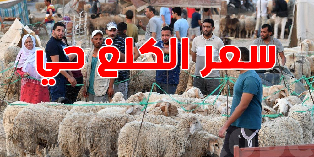 نحو تحديد سعر الكلغ الحي من أضاحي العيد