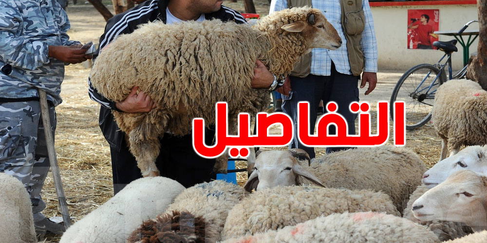 لهذا السبب فلاحوا تطاوين يعترضون على التسعيرة الرسمية لبيع الأضاحي بالميزان 