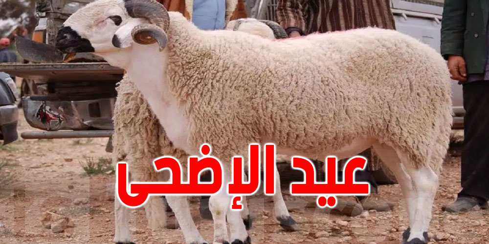مركز الفلك الدولي: 6 جوان أول أيام عيد الأضحى في معظم الدول الإسلامية