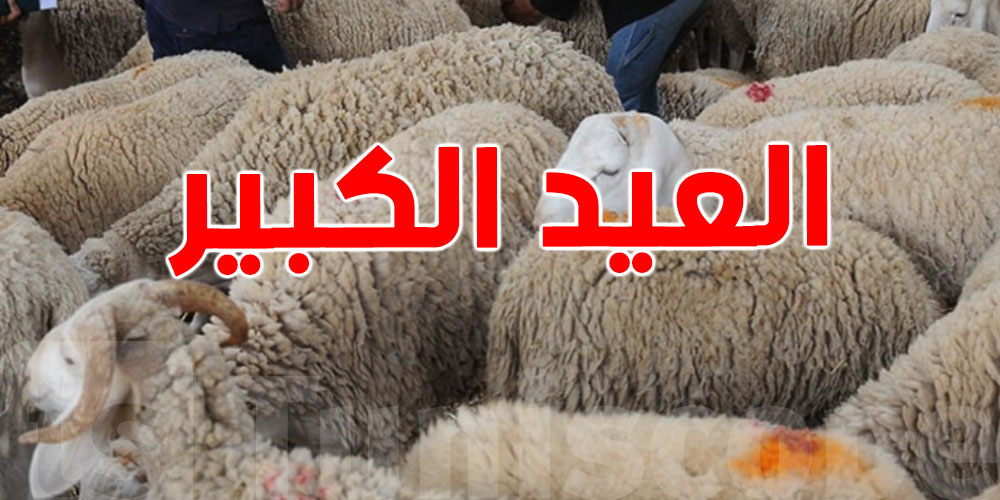 لماذا يُسمّى عيد الأضحى بـ''العيد الكبير'' في تونس؟