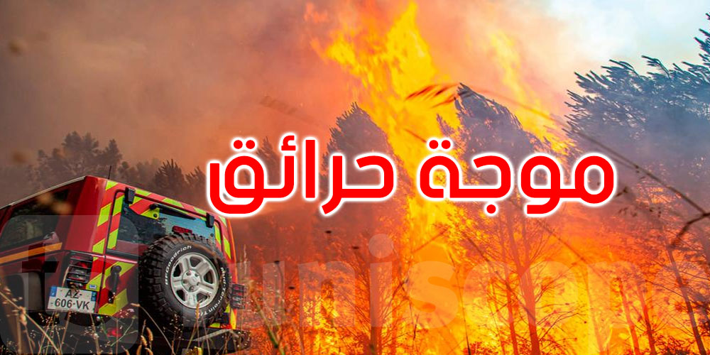 موسم الحرائق يجتاح فرنسا وإسبانيا والبرتغال واليونان مبكرًا