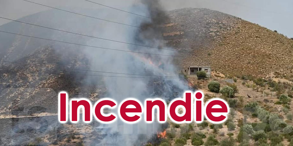 Ariana : Un incendie maîtrisé à Sidi Thabet 