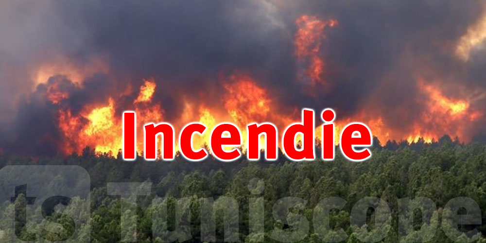 Kairouan : 8 hectares de terres ravagés par le feu 