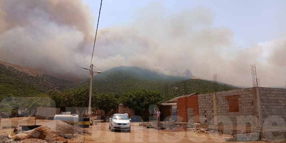 Incendies et canicule : l'Algérie suspend tous les festivals prévus en août 2026