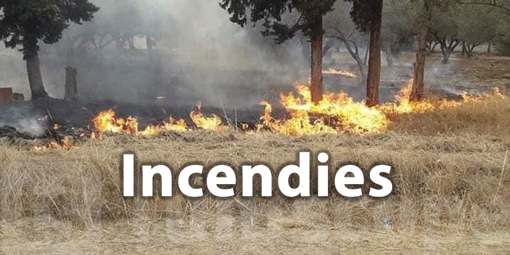 La plupart des incendies forestiers survenus récemment sont d'origine humaine - Vimarsana News