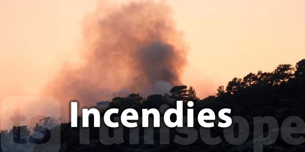 D'importants dégâts matériels suite aux incendies à Jendouba - Vimarsana News