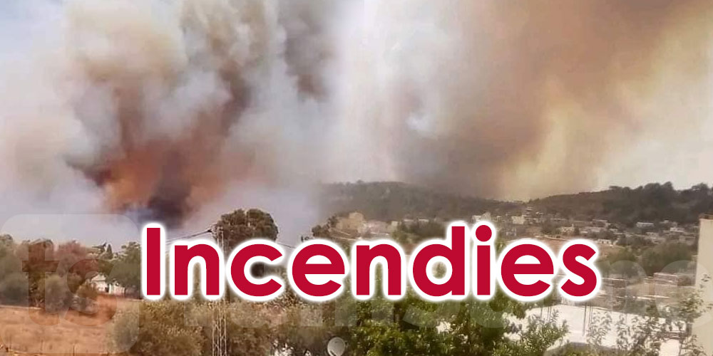 Jendouba : les incendies maîtrisés à 80% 