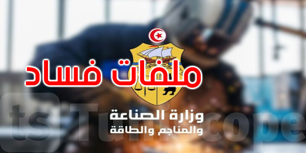 وزيرة الصناعة: إحالة 20 ملف فساد إلى القضاء 