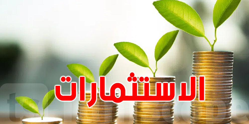 تونس تسجل قفزة بـ61% في الاستثمارات الأجنبية المباشرة بين 2020 و2024