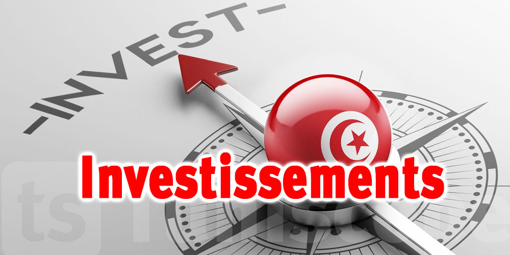 Investissement en Tunisie : une nouvelle adresse pour débloquer les dossiers et accélérer les projets