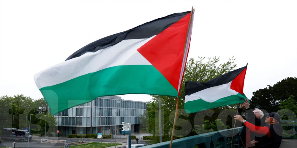 رويترز: أيرلندا ستعلن اليوم اعترافها بدولة فلسطين