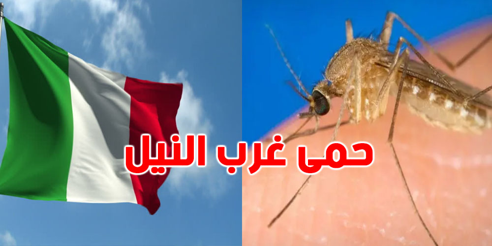 إيطاليا: فيروس غرب النيل يزيد الانتشار.. عدد الحالات والوفيات في تصاعد...شفما؟
