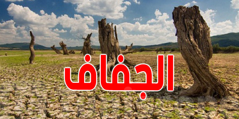 تعويضات وجدولة ديون لفائدة فلاحي 12 ولاية متضررة من الجفاف