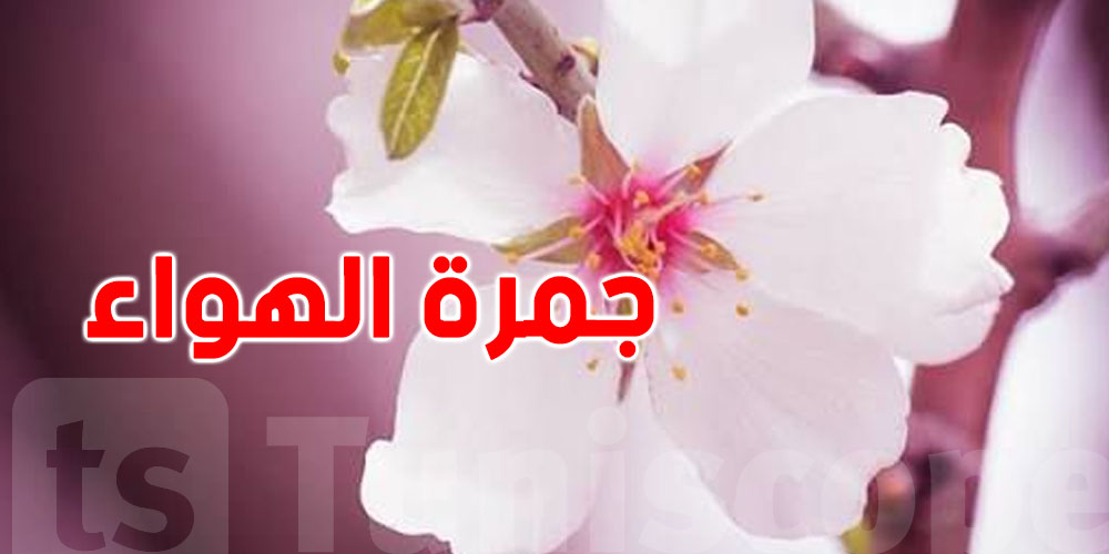 جمرة الهواء تنزل في تونس: شنوّا يعني وشنوّا علاقتها بالربيع؟