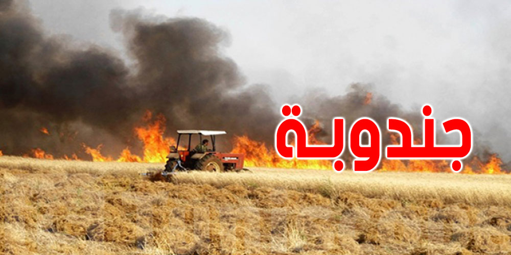جندوبة: السيطرة على حريق بإحدى مزارع الحبوب