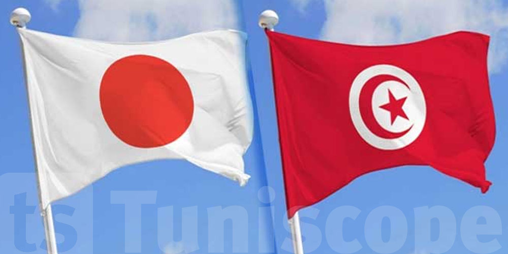 فرصة ذهبية: منحة للدراسة في اليابان للتوانسة