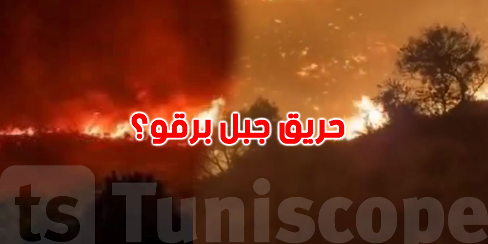 عاجل: بعد ليلة صعيبة.. شنوّة صار في حريق جبل برقو؟