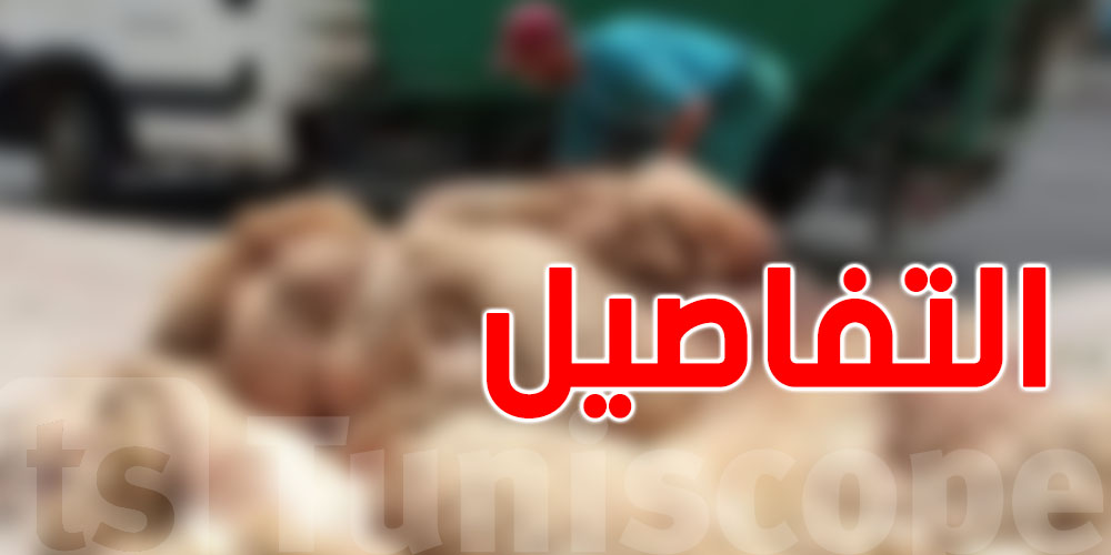 فتوى شرعية بخصوص ''جلد'' الأضاحي