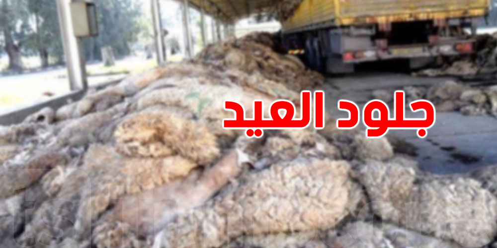نقاط تجميع الجلود: بلدية الحمامات توضّح كل التفاصيل