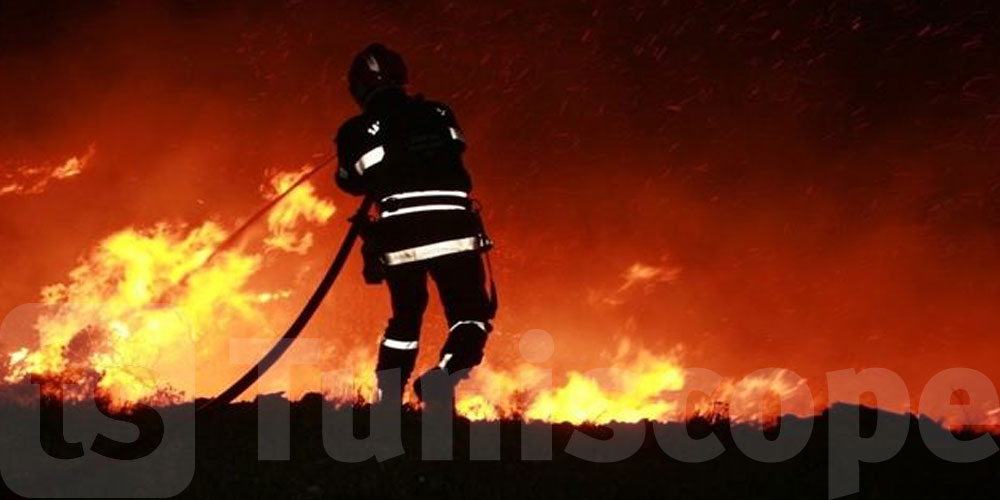جندوبة: حريق بغابة جبل بورباح في وادي مليز