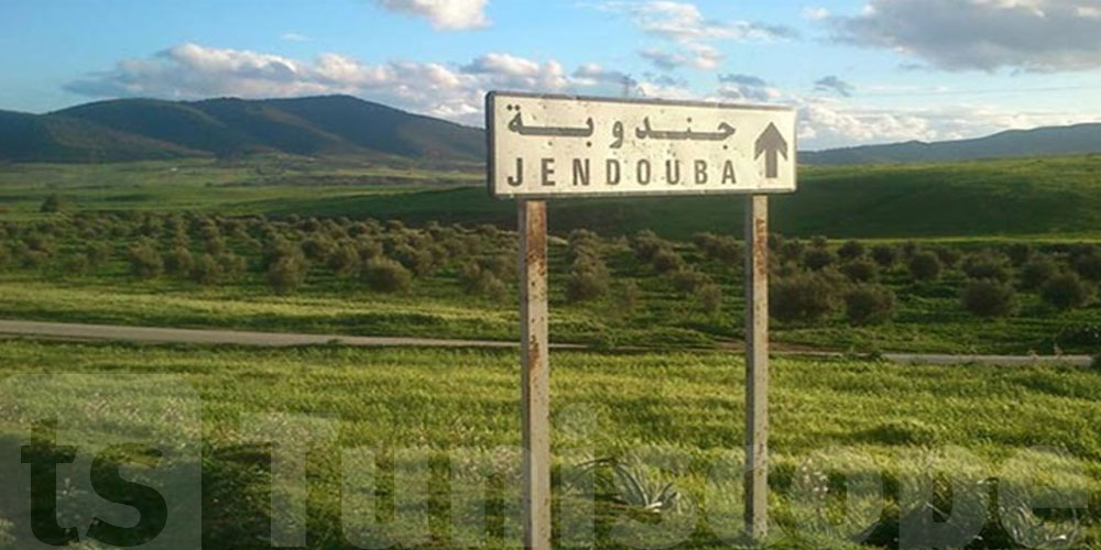 عاجل-جندوبة: تحديث الحالة الجوية...استخدموا هذه الطرق بحذر