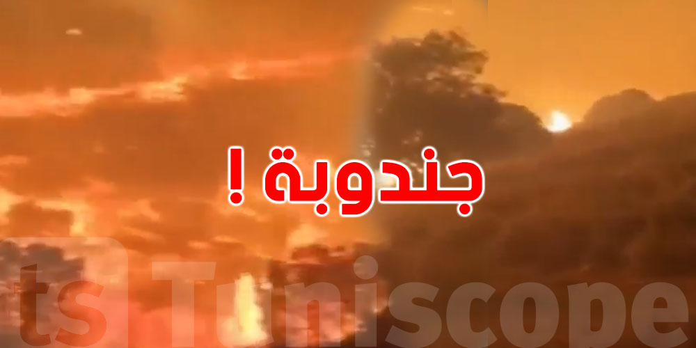 عاجل: جندوبة تحت النيران.. ليلة صعبة وحرائق متزامنة..شنّوة صار؟