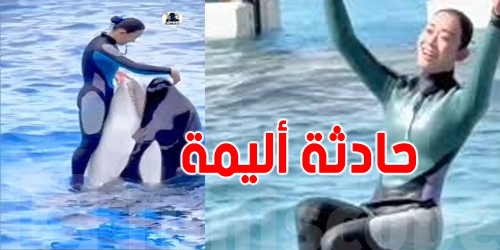 وفاة جيسيكا في هجوم نادر من حوت الأوركا.. القصة الكاملة