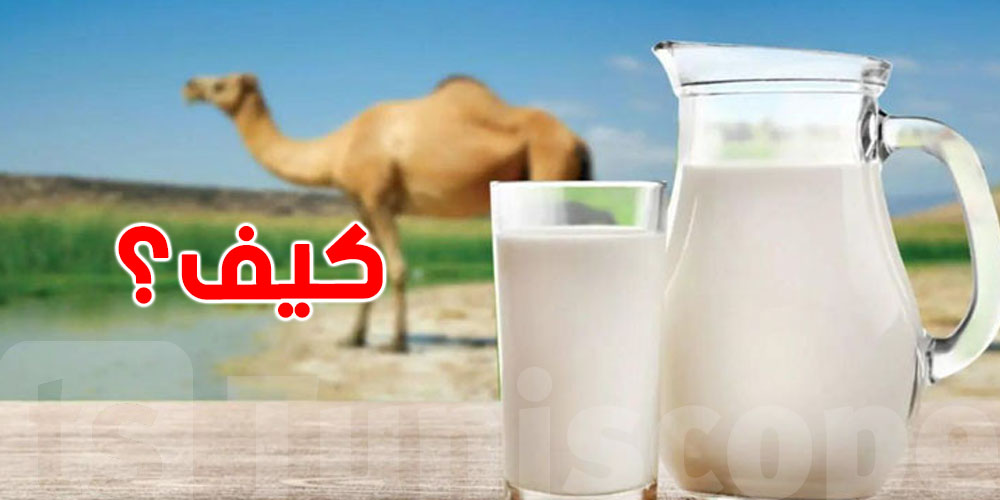 دواء موجود قدامنا وما كناش نعرفو؟ السر في حليب الجمل