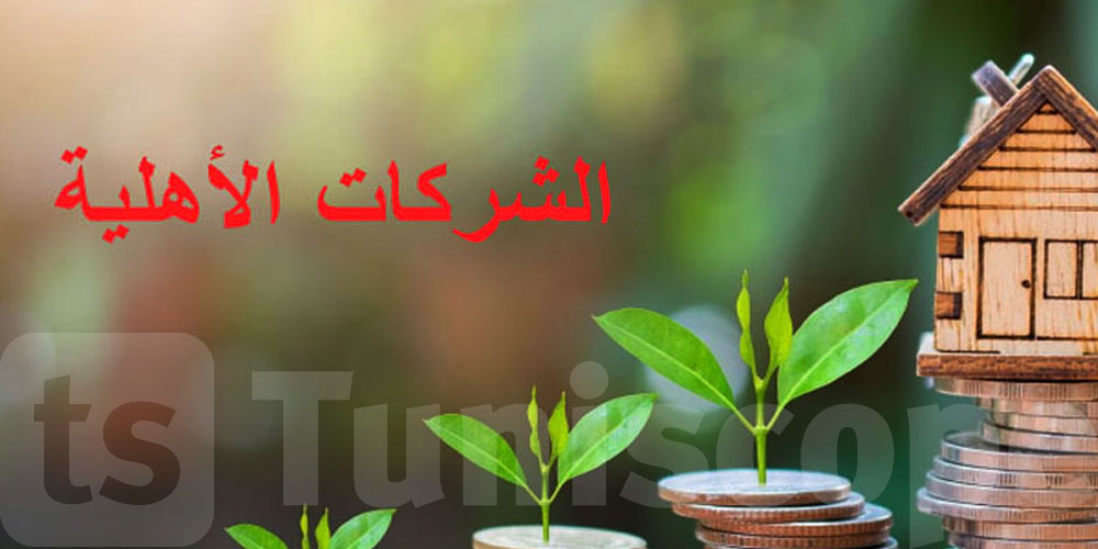 عاجل: مرسوم جديد يُنقّح قانون الشركات الأهلية ويُدخل تغييرات جوهرية