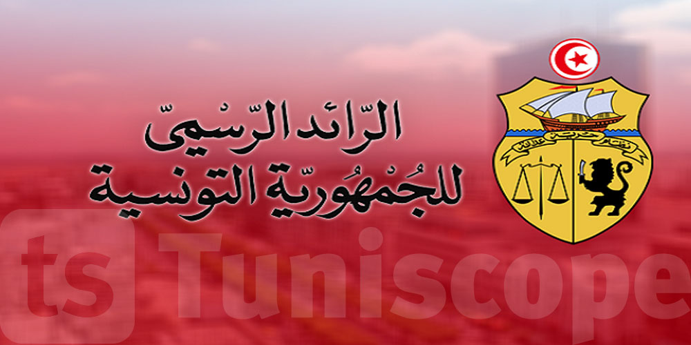 عاجل: صدور قانون الفنان والمهن الفنية بالرائد الرسمي