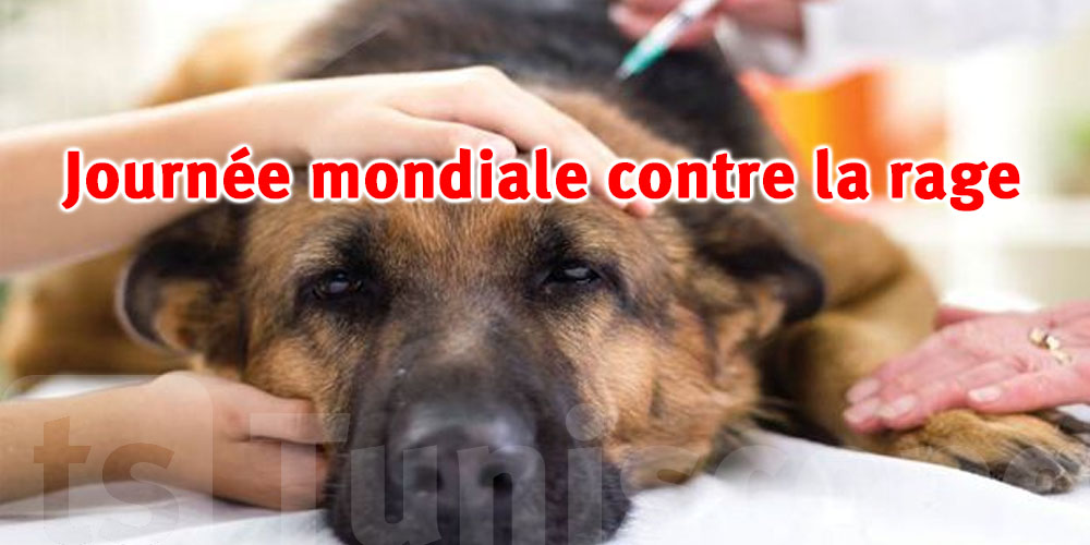 28 septembre : Journée mondiale contre la rage, protégez-vous et vos animaux !