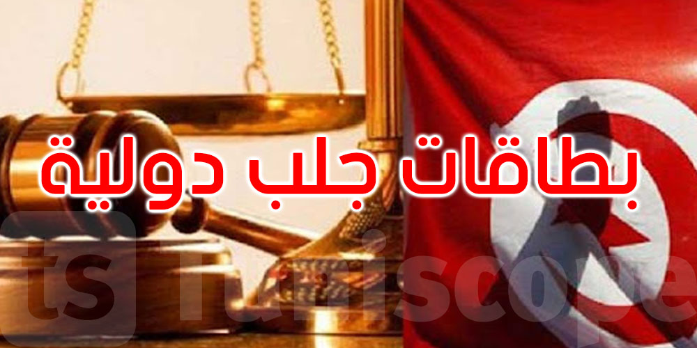 بطاقات جلب دولية في شأن منذر الزنايدي ورفيق بوشلاكة وأنيس بن ضو وثامر بديدة