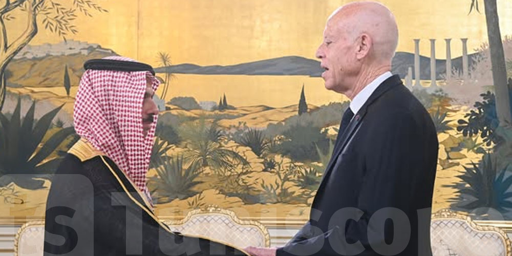 قيس سعيّد: قيس سعيّد: الأمة العربية تعيش ''سايكس بيكو'' جديداً 