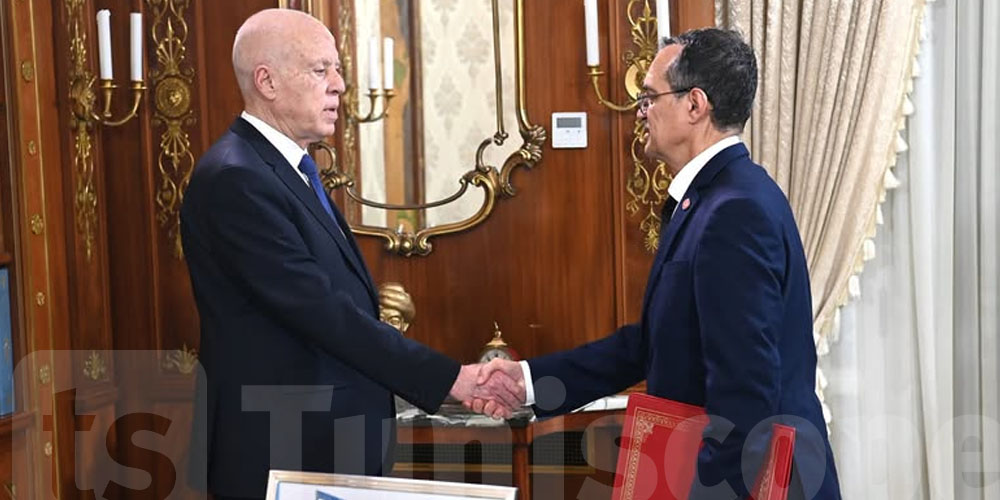 عاجل: زيت الزيتون والتمور والأسمدة.. قيس سعيّد يوجّه رسائل مهمّة للفلاحة