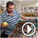 En vidéo et photos : Le prix des fruits et légumes au marché El Kallaline 