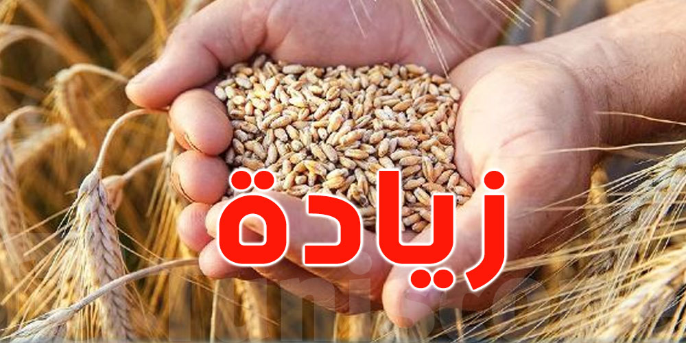 وزير الفلاحة يُعلن عن الزيادة في سعر قبول القمح