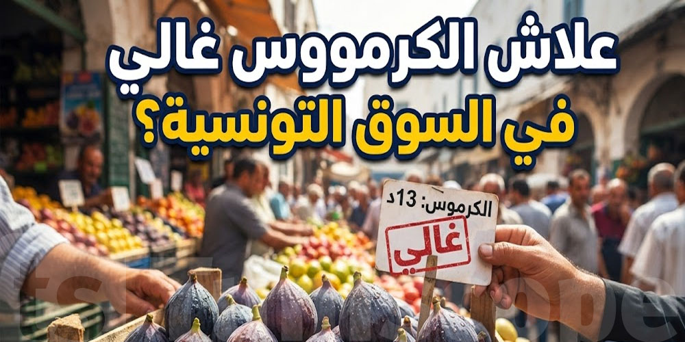 الكرموس في الجملة بـ6 و13 دينار.. وين تمشي الزيادة؟