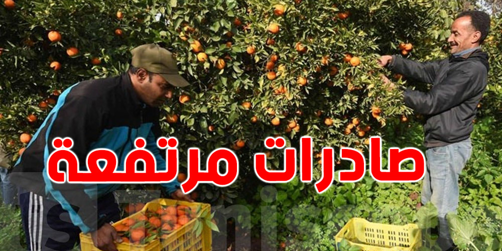 37.7  مليار صادرات القوارص حتى ماي 2025